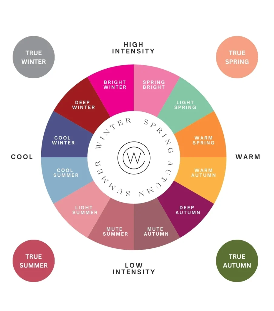 colour wheel for color analysis, color wheel for colour analysis explaining 16 seasonal color analysis in Denmark, Danmark, farve analyse i Danmark, i Aarhus, i Aabenraa, i Copenhagen i nærheden wardrobe edit, personal shopper, personal shopping, shopping assistance, stylist, style, Wardrobe edit Garderobetjek Personlig shopper Personal shopping Shoppingassistance Stylist Stil.farve analyse i nærheden, farve analyse i Danmark, i nærheden i Aarhus, i nærheden i Aabneraa, i nærheden i Copenhagen, color palette, digital color analysis, digital farve analyse, personal color analysis, in person color analysis 4 seasons 16 seasons true summer spring autumn winter make up still style personal shopping wardrobe edit stylist image find my best colors colours. color analysis near me, colour analysis near me